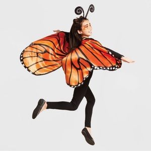 Monarch butterfly costume